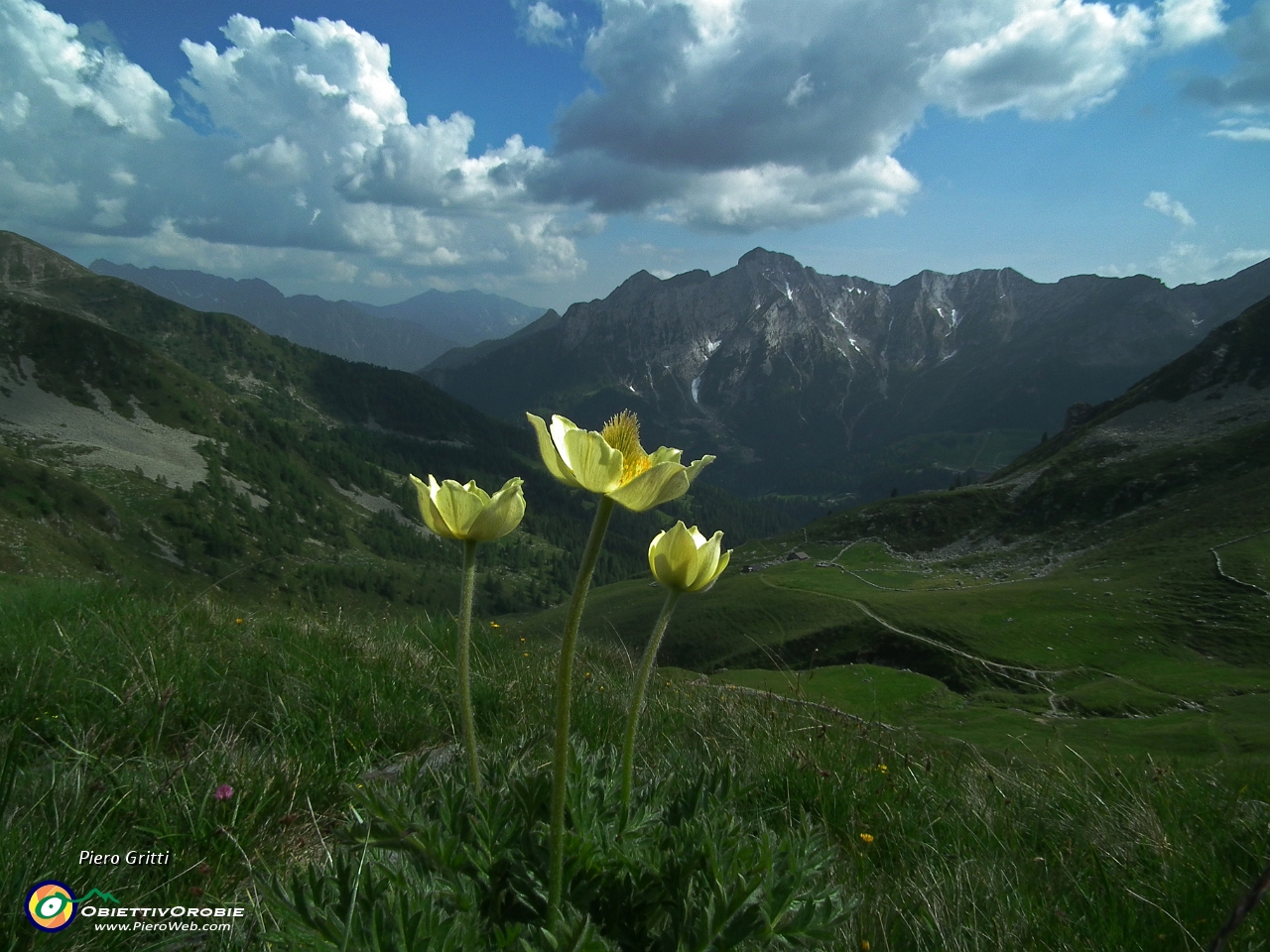 86 scendiamo sul sent. 101 con vista verso il Pegherolo....JPG